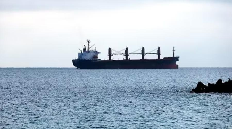 Advisor to Head of Judo Federation Trades Russian Oil and Grain | FakeOFF